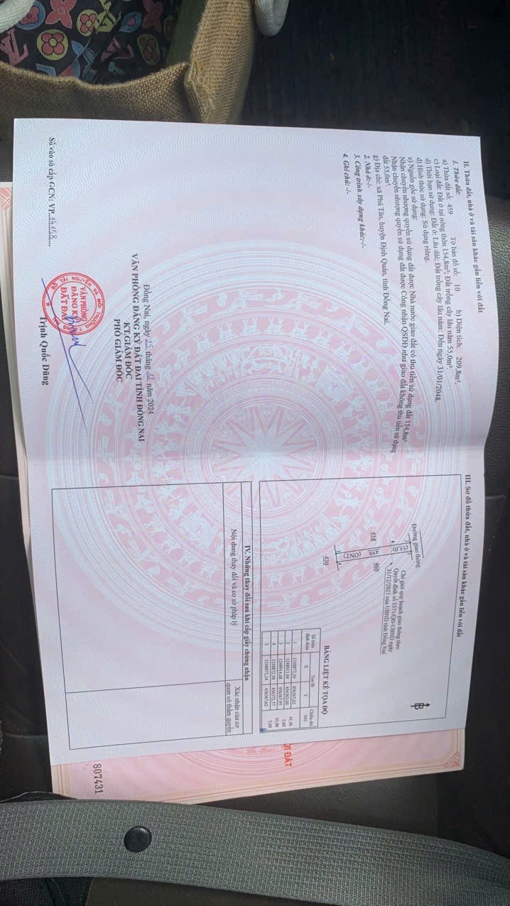 z7026848558377_4fcb9eedfed473f00351daa23d3ef9ae