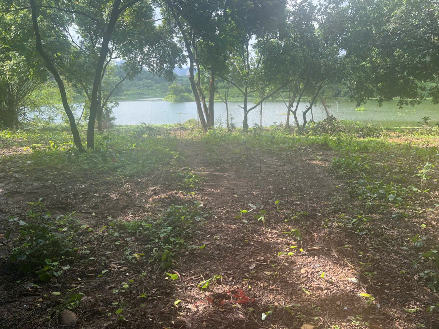 z7028347071255_1ea2298f0076efcbeda2e14d94ea9a4f