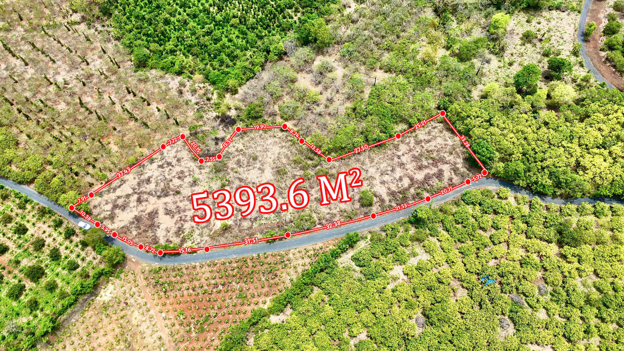 z7028468313612_f491e85868e6d49a8347c7d574481c8b