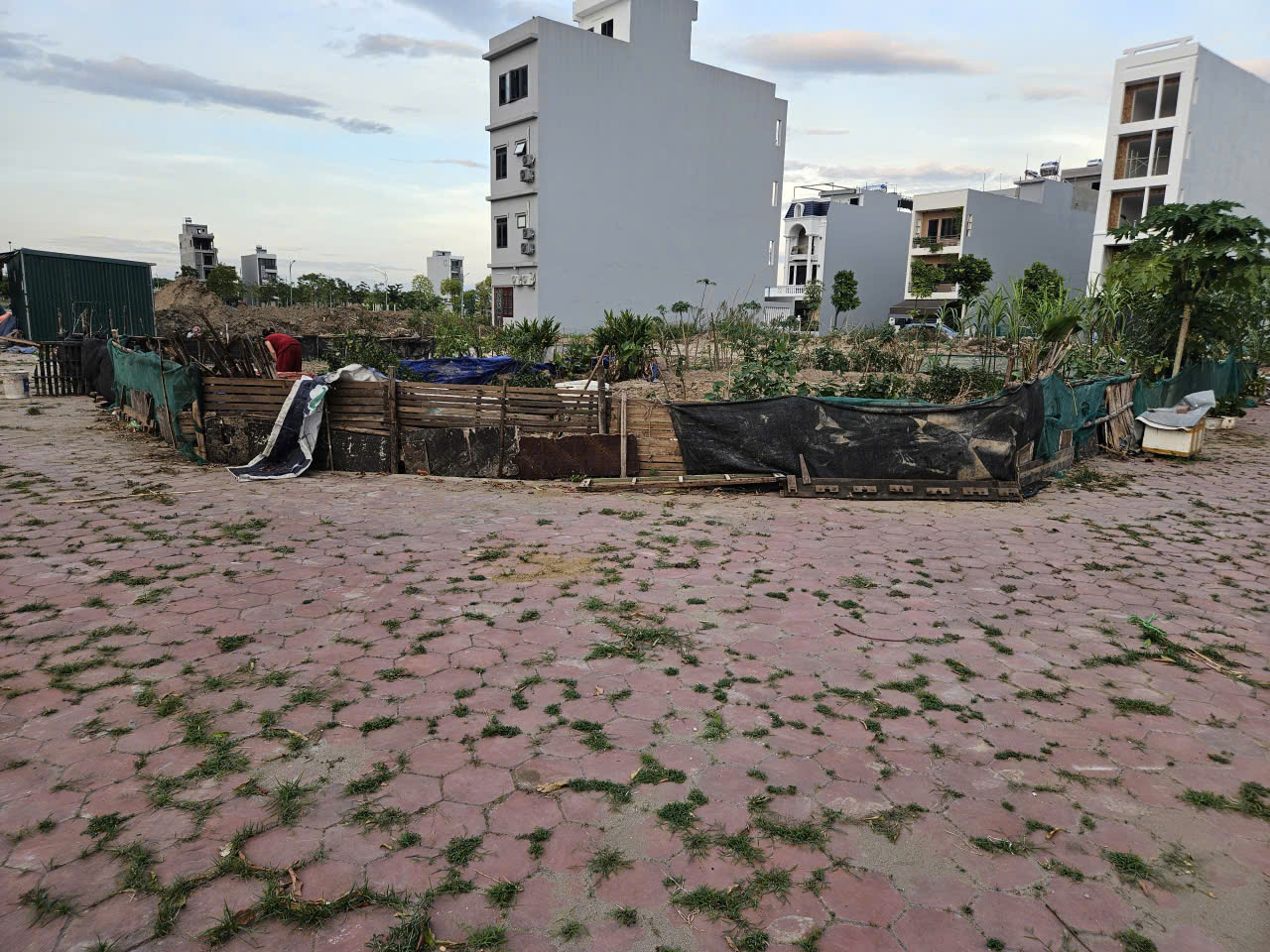 z7029388858487_7f46de858f7ea2b96496d052de468aca