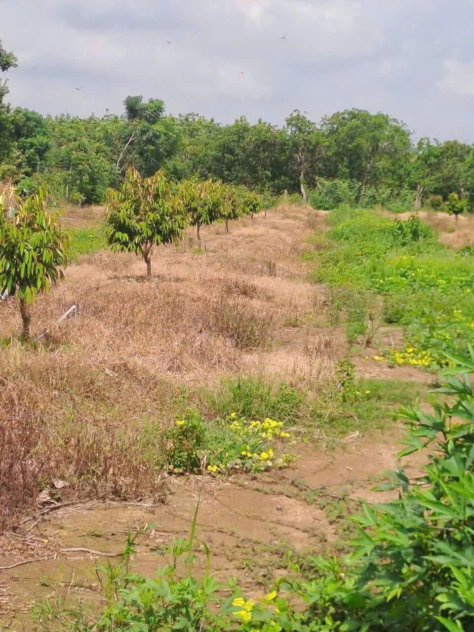 z7030505322485_c3a7401d36631f1949b1d3fa029310c0