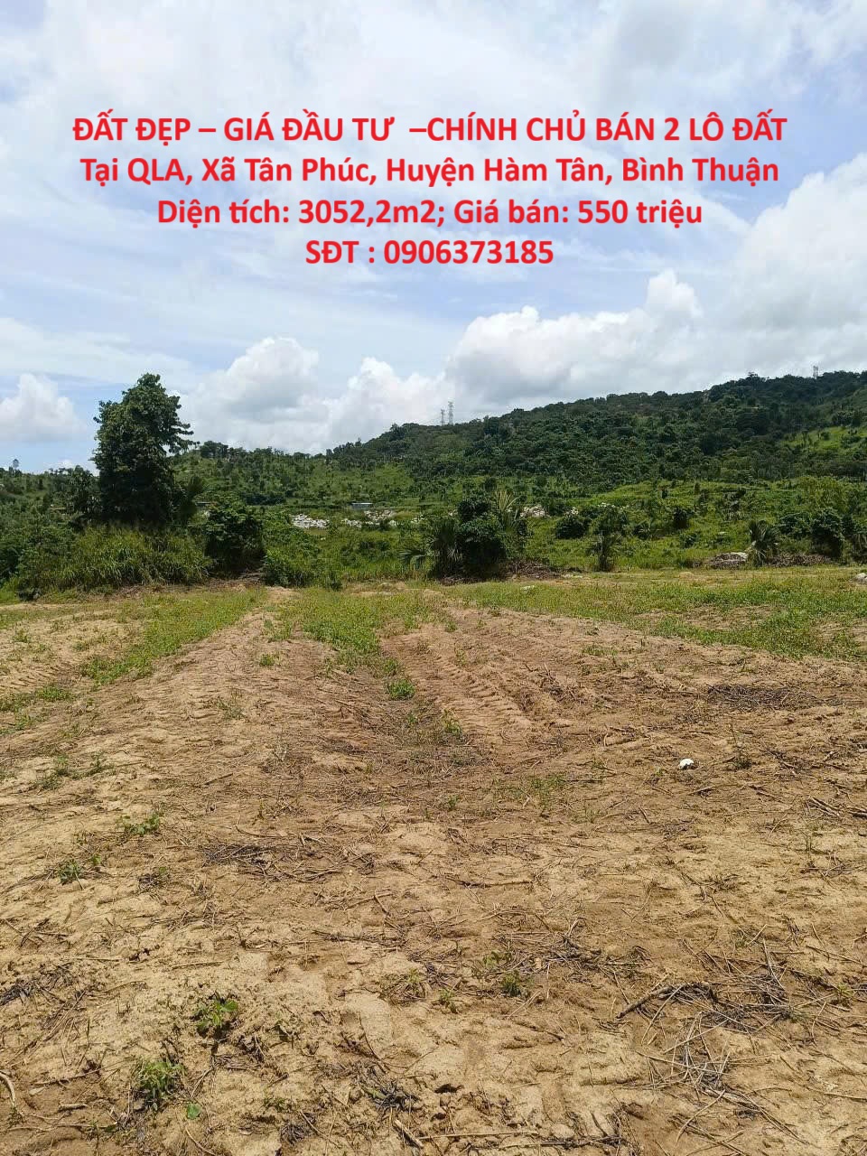 z7030606390138_d19985b865deb61e196214b70c863da