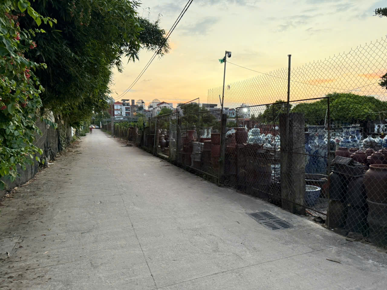 z7032022837015_096c3ceba6f1032d0abdfc8d0cddc06d