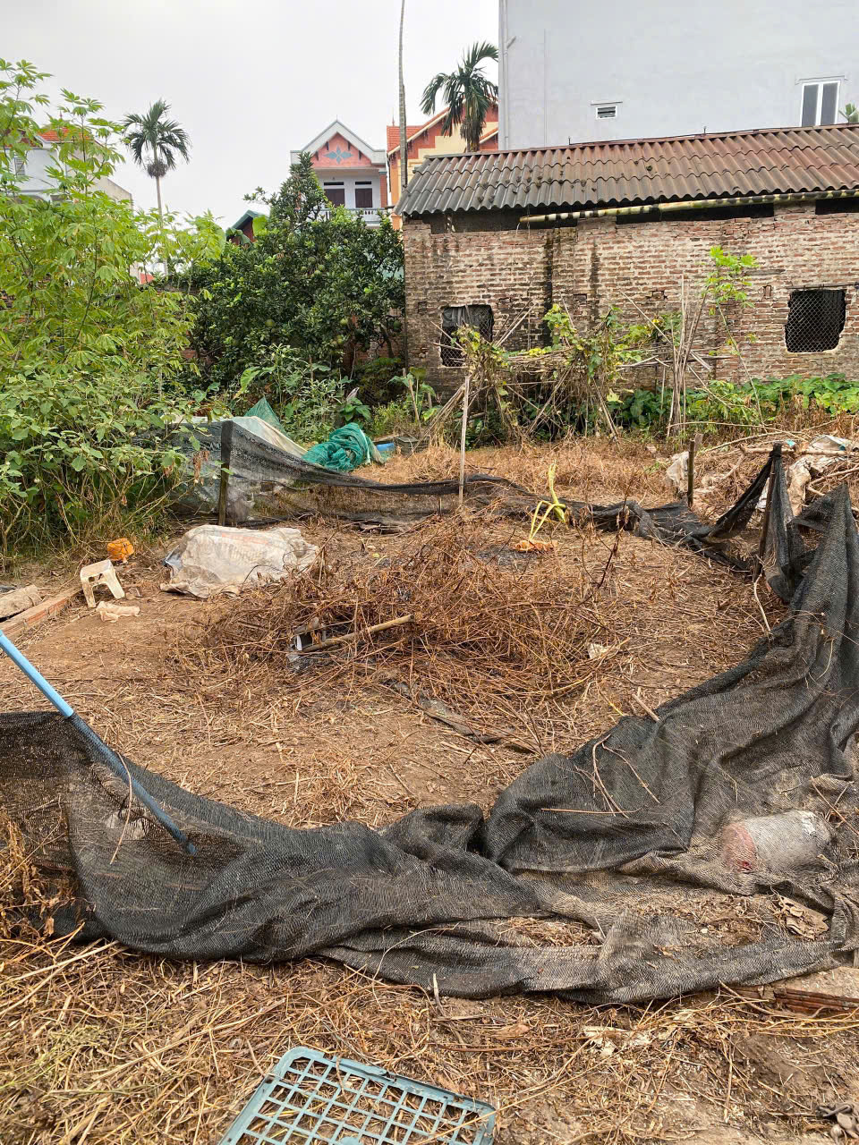 z7032950951283_72c87997308297114a1cf29d1960e34e