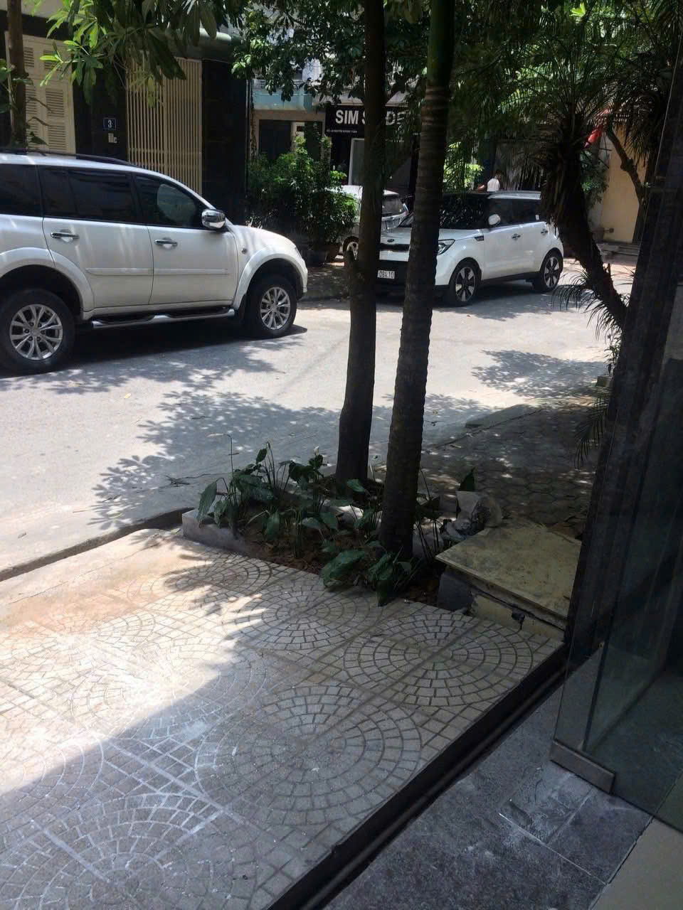 z7033187559677_2443ed867cbc44a2a22e9e8d3dc3cc92