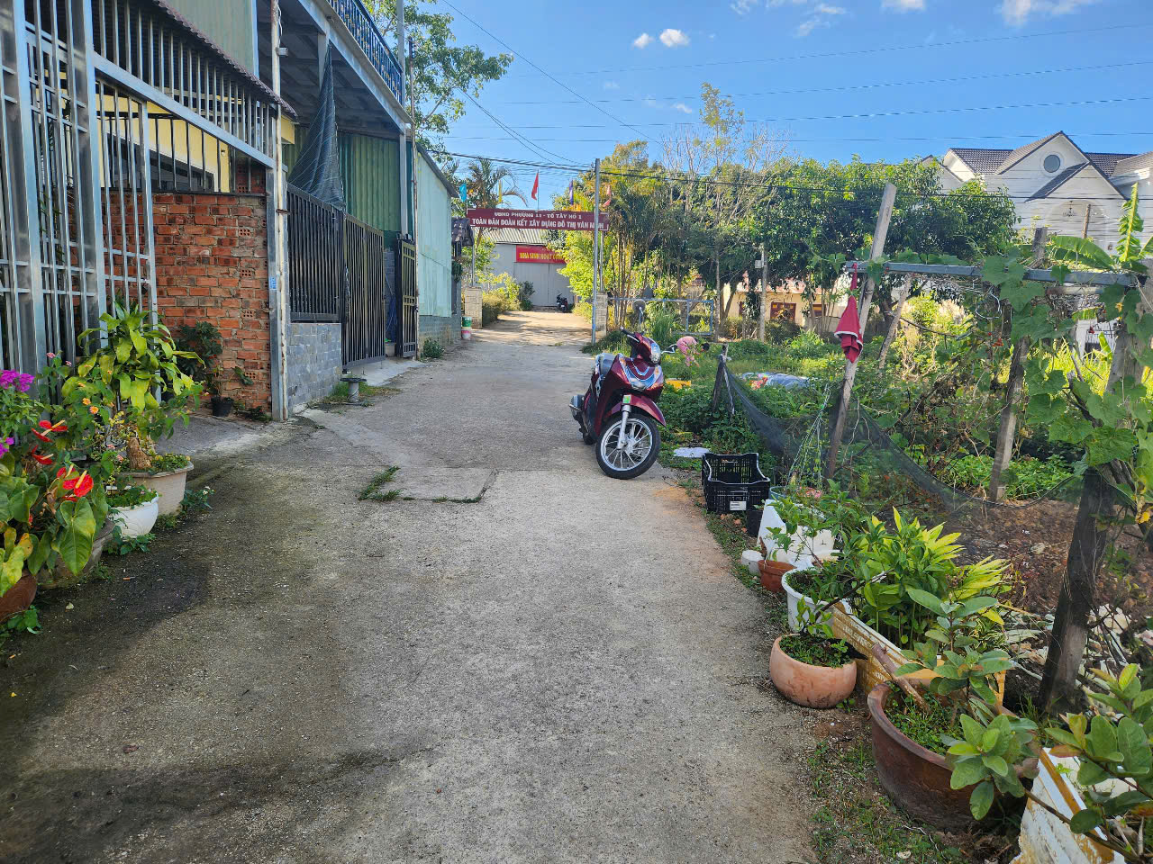 z7034362261729_aa4463c34f9d0c3c290fe6d2584700fb