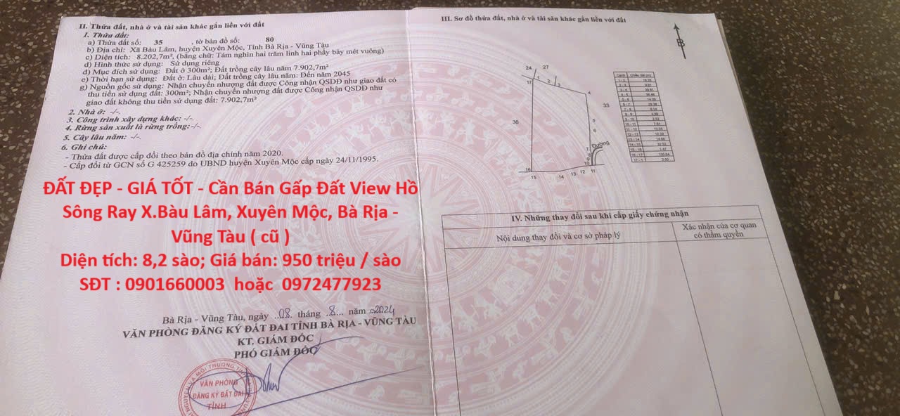 z7037751167877_f24699853ac96796d6d3e2a0728a76b