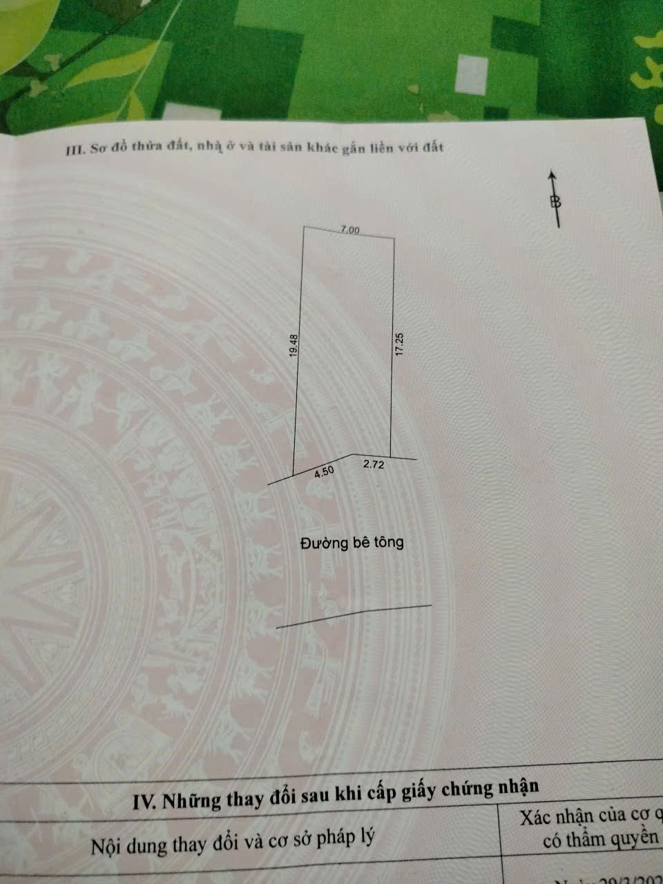 z7039977008017_d90309afcde15498e3b22d0202a7349f