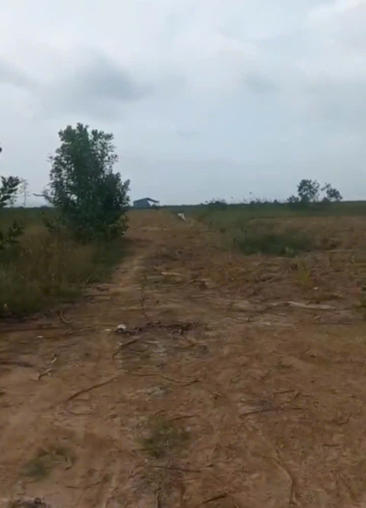 z7040014814884_82bb2872e6052324eb891a5a00a985f3