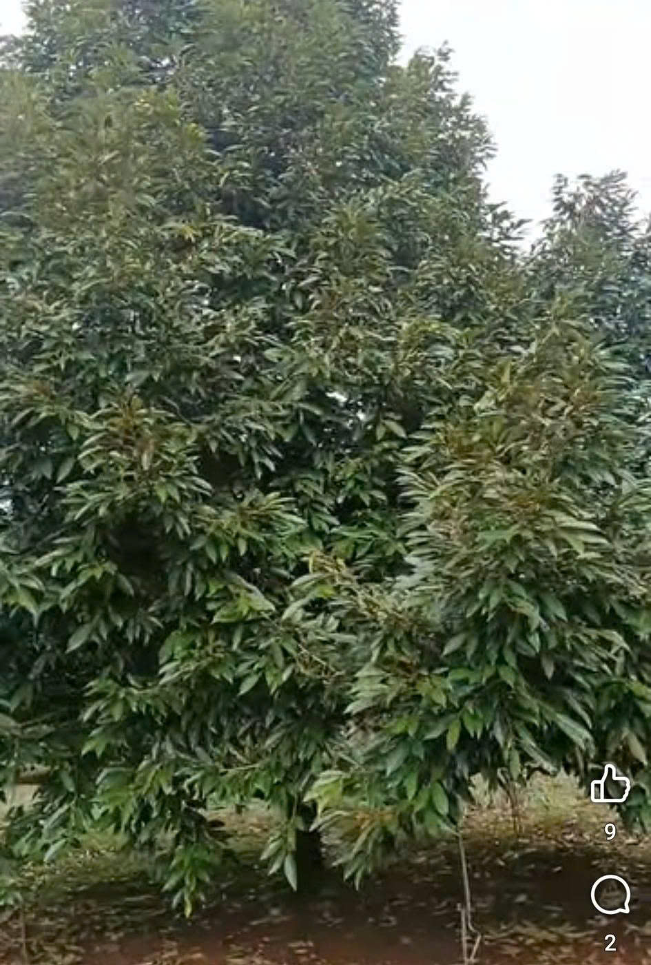 z7040441855704_04aa72d9457fad4f81fb587e9f0faa29