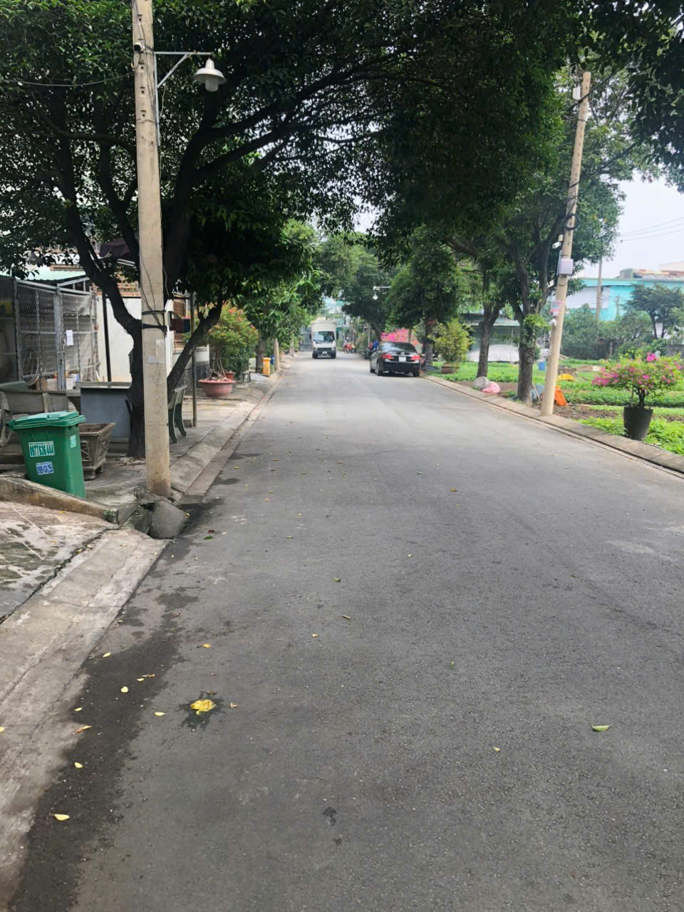 z7040764667775_397f29b91309ada165dee1837b1d653b