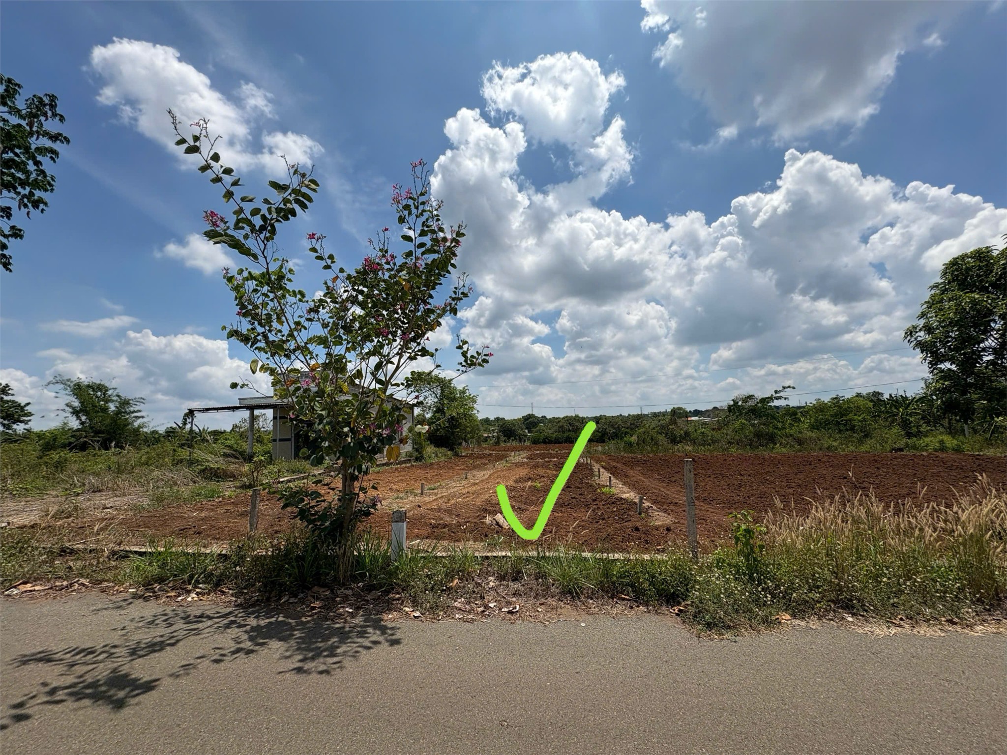 z7041211879774_7f36e5ab7f6f061d92dd7344dea69241