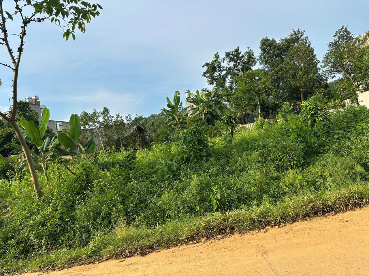 z7041885460344_3eaf76fb6daf37d19d2361a5466f82e7