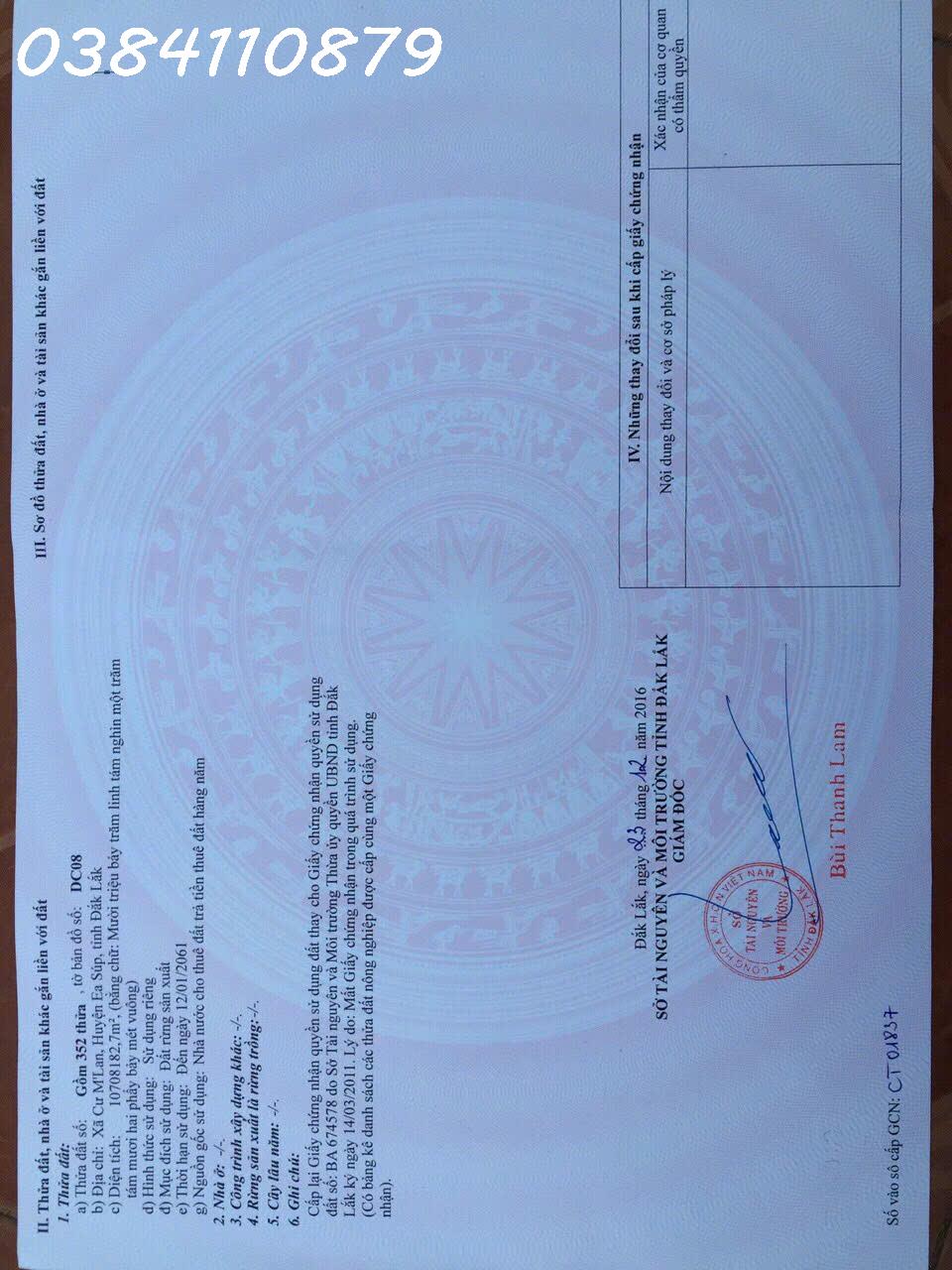 z7043370857099_63c49b15019b59b156f0d78a37194a8a