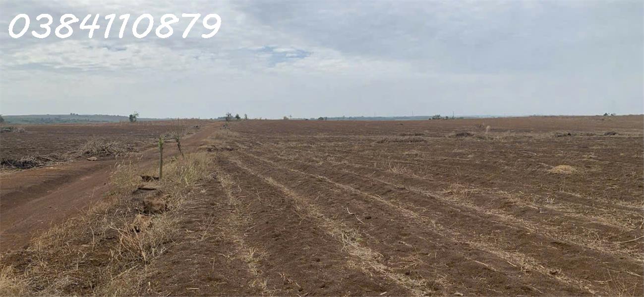 z7043391041190_aae0767651e20e18e4401c5430c90d22