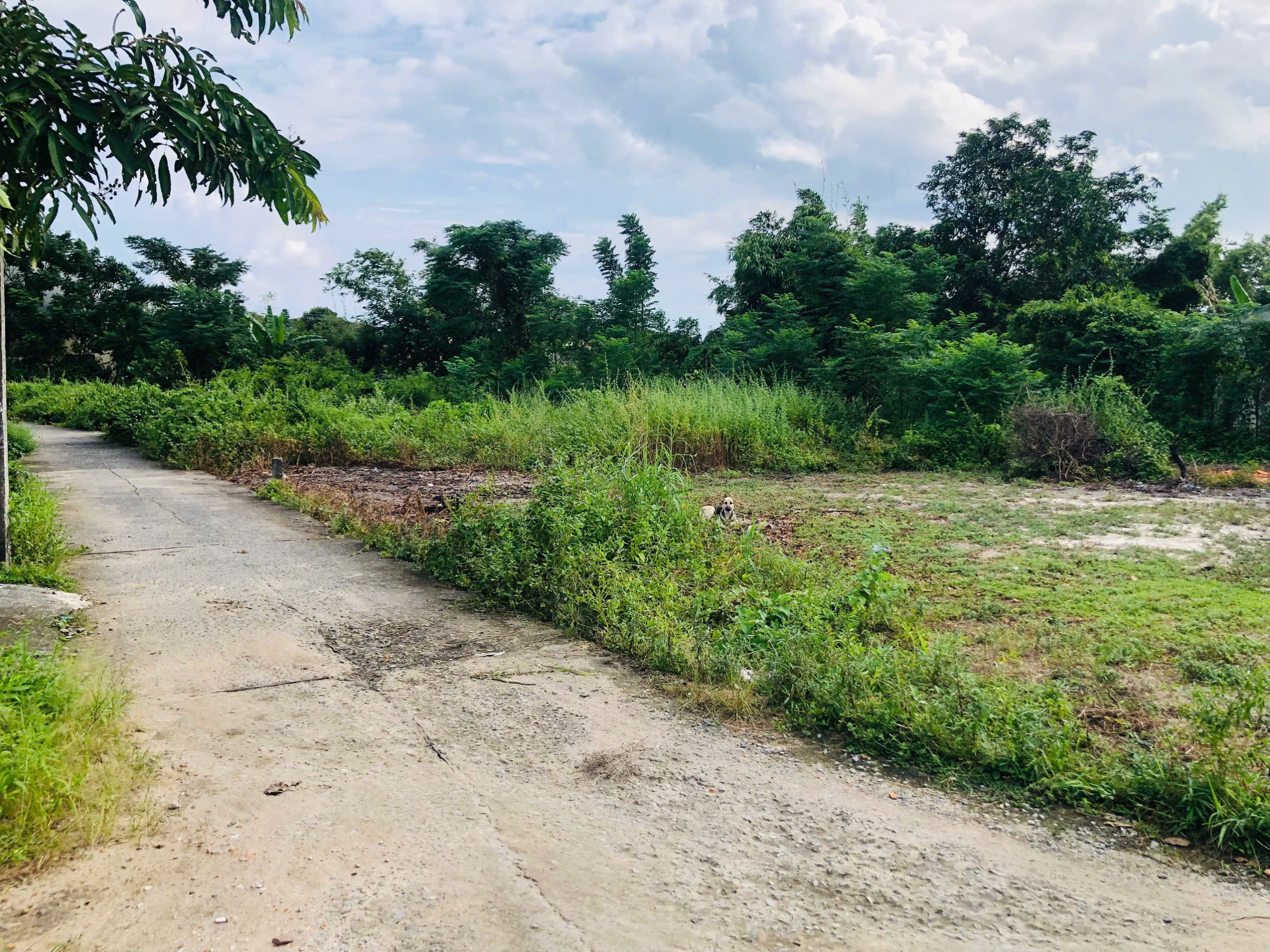 z7045503891412_716d458bcd7447437e70e666f19be1cc