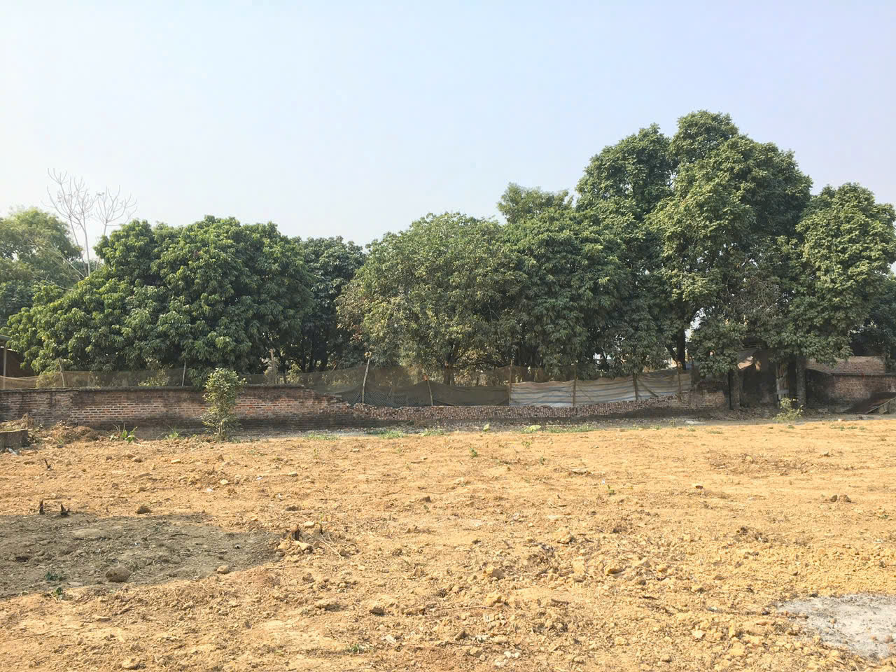 z7046661136020_d1ee69eed9f09e74dfa49cc7db95128f