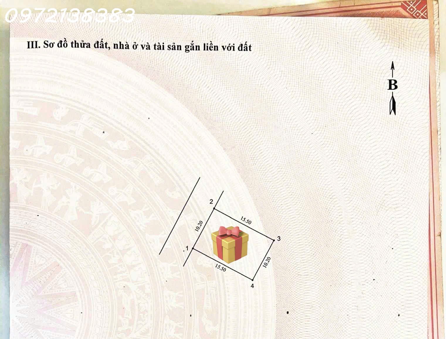 z7047327215854_837d79f6d772b97447eeb350299ded7c