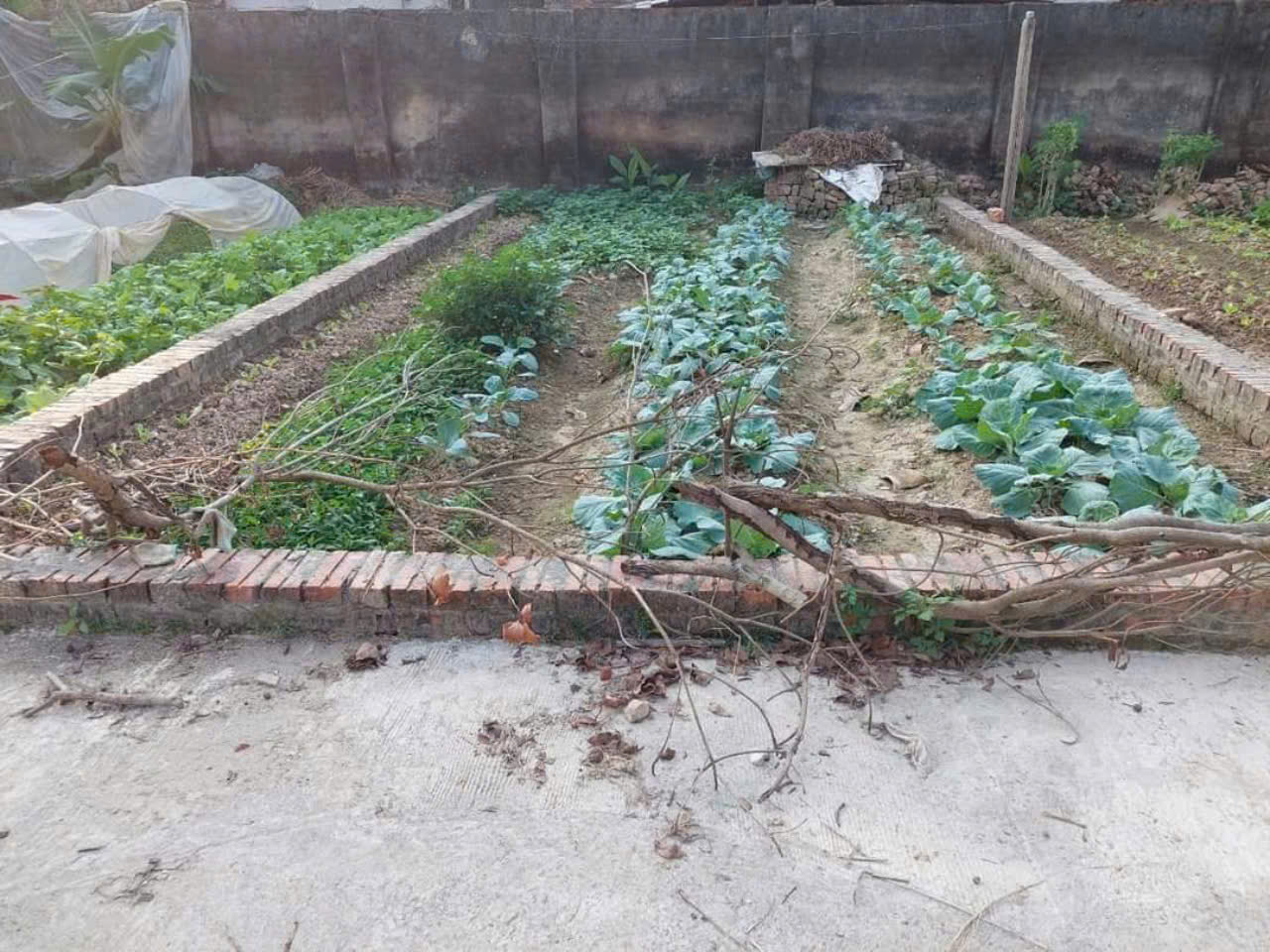 z7048827279858_392e9f539e42f16c1c508ebb013ad222