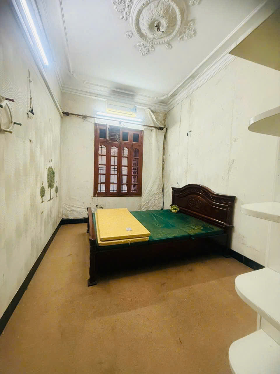 z7050170297179_b924b3a8e74640545972dede07a1dd0enk