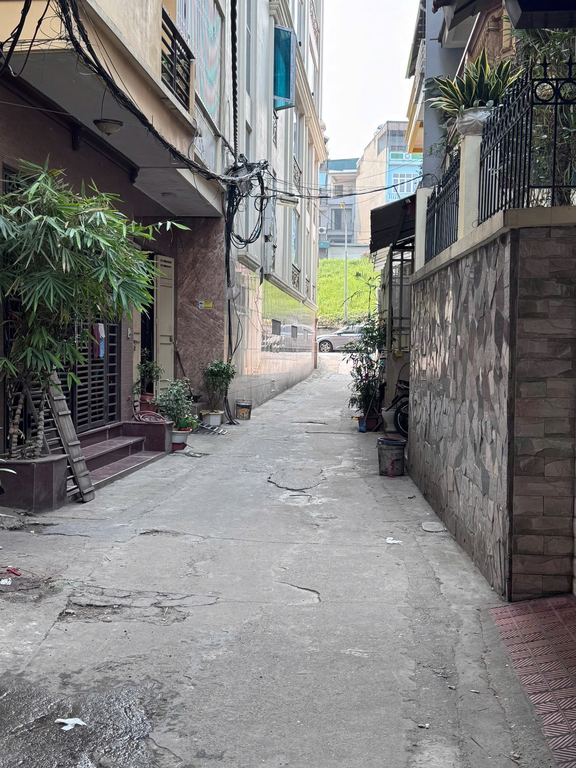 z7050595050451_331f8db1905655046d48727cd67048c8