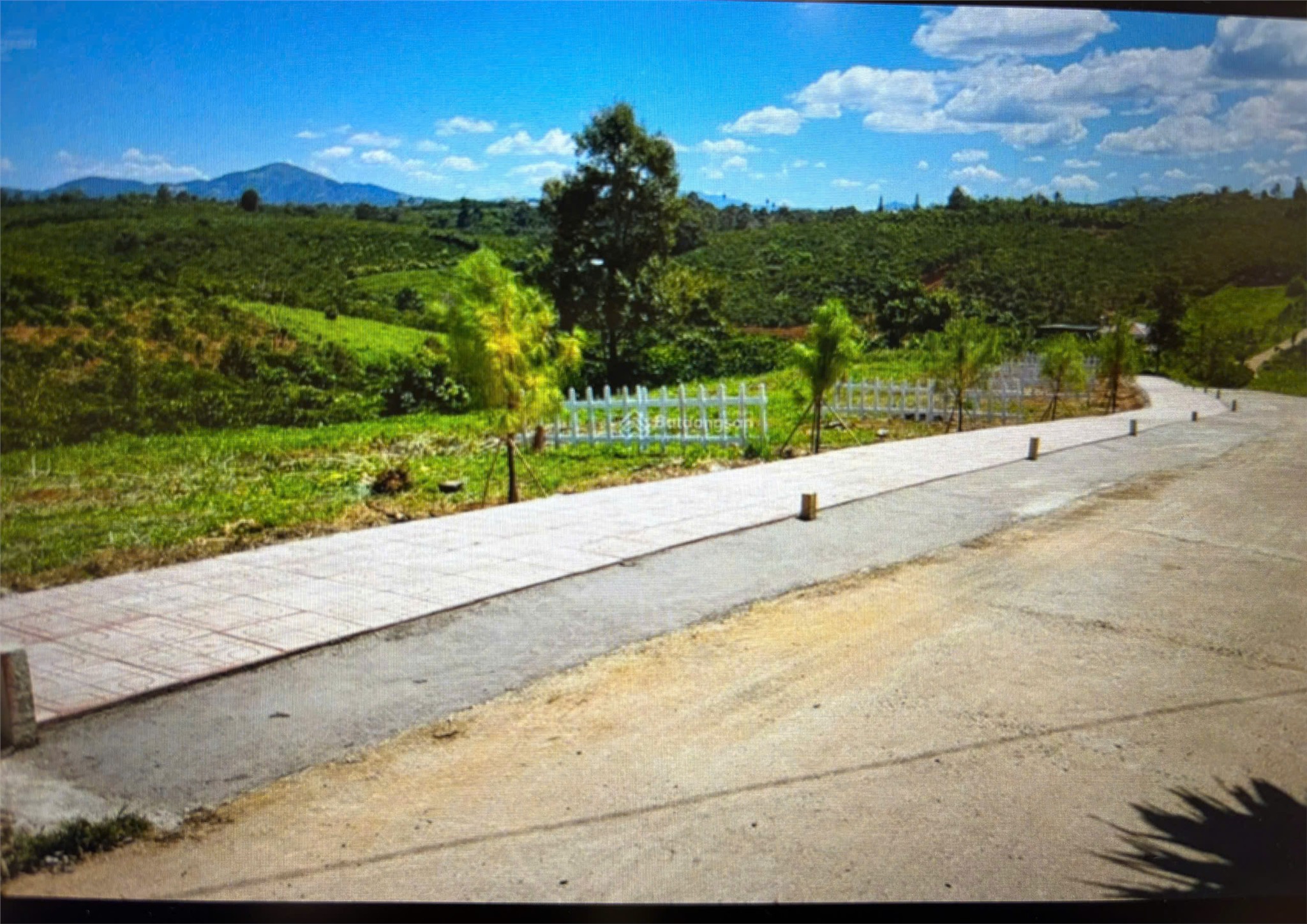 z7051228634139_a16e4ccefe22ba94b44a48703b6bd30f