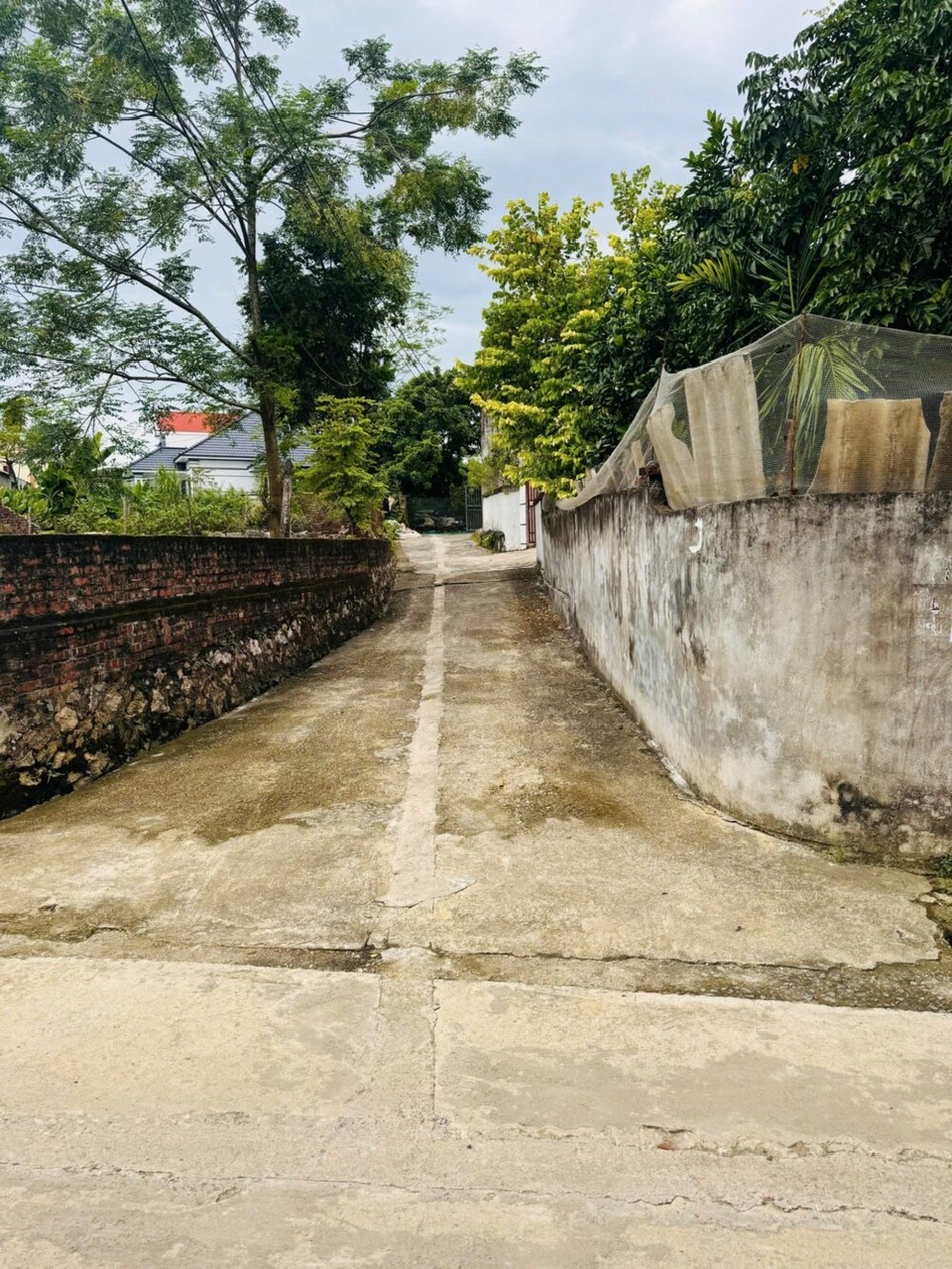 z7052306548128_7988273bac763baac66707cab8946528