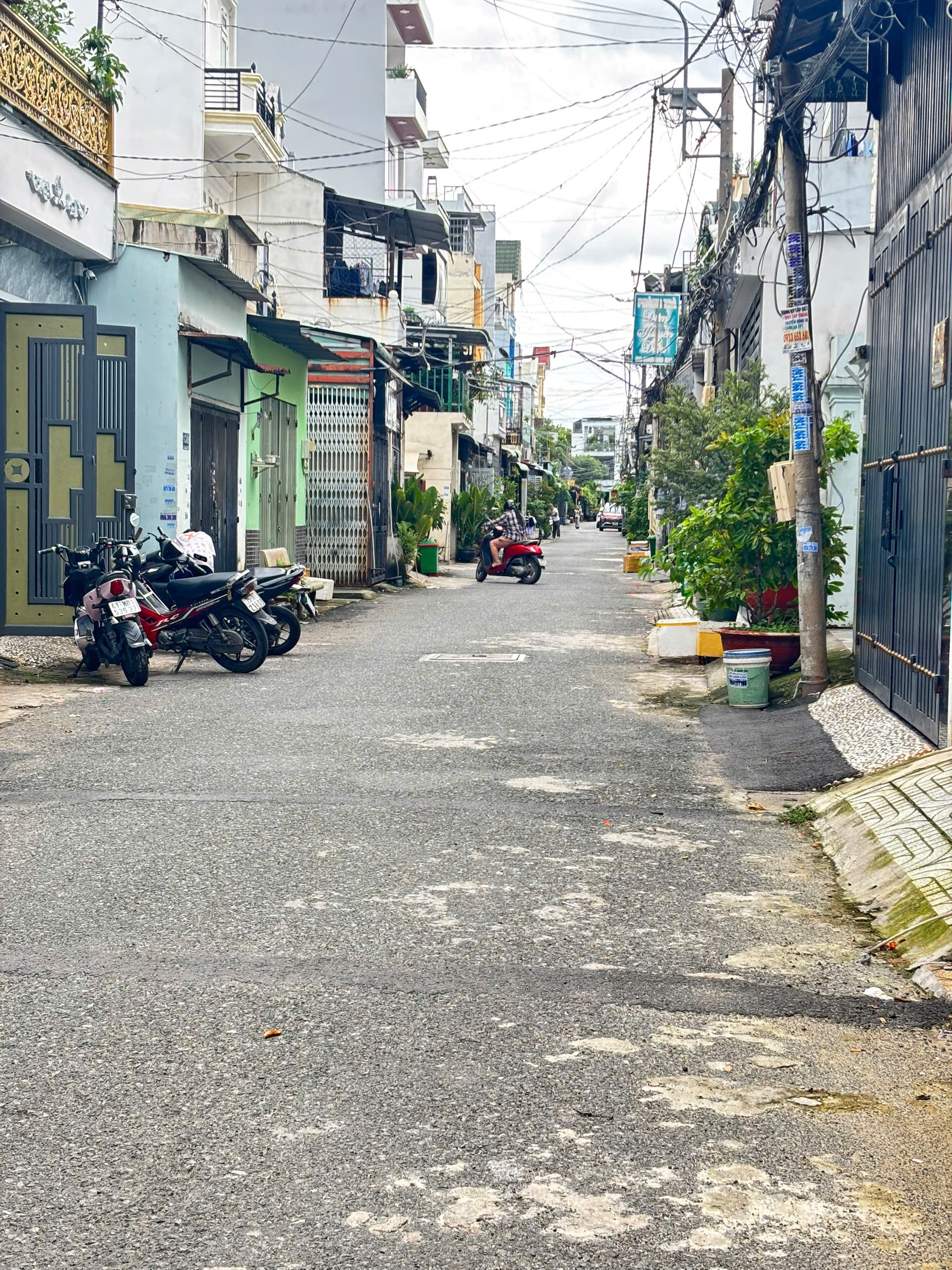 z7053731315701_b0533f77fb6e73fc4d0676c8dcb77e2d