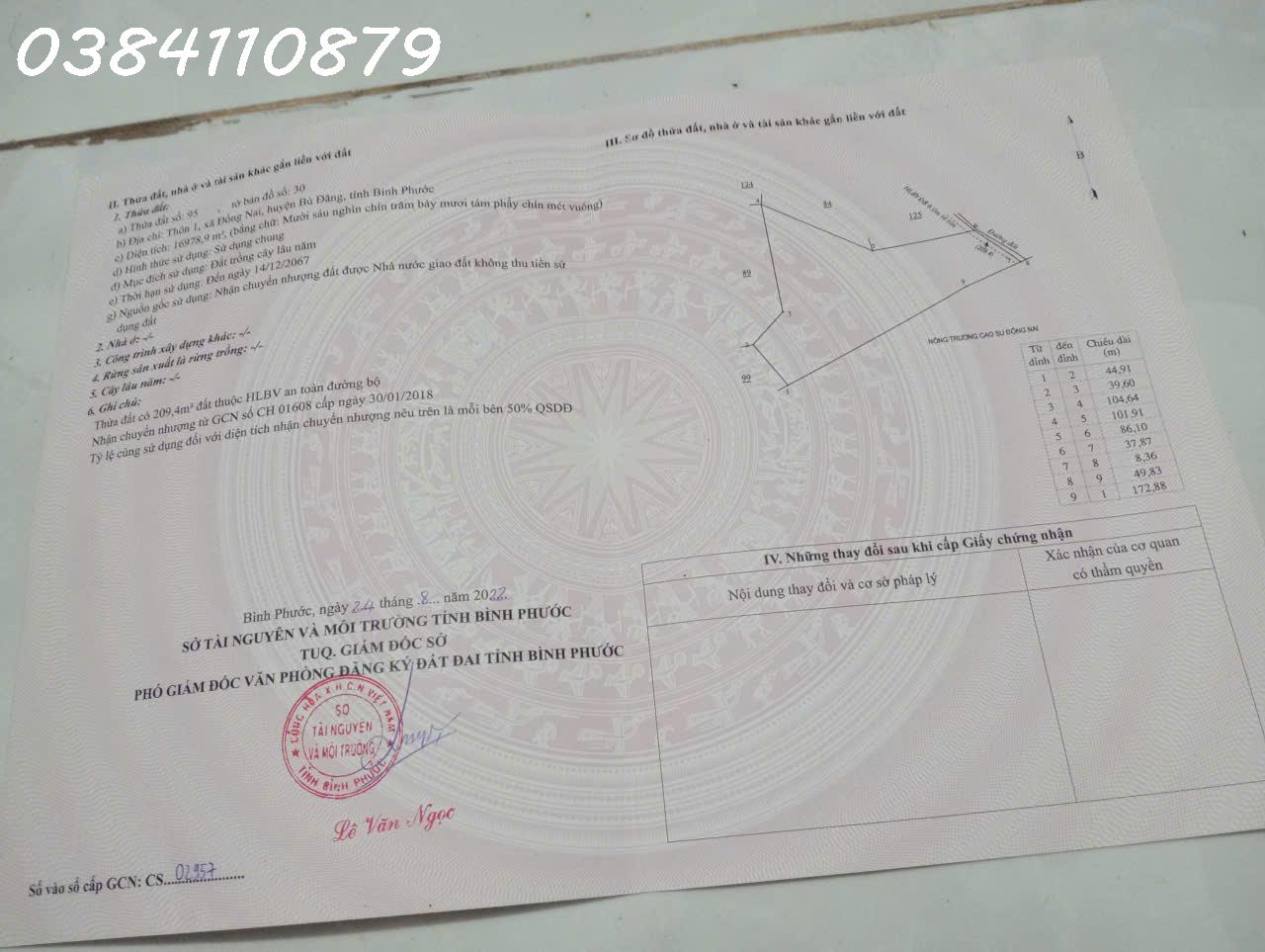 z7057442838343_6de5a06fed9ad4a4b2e85231793412b7