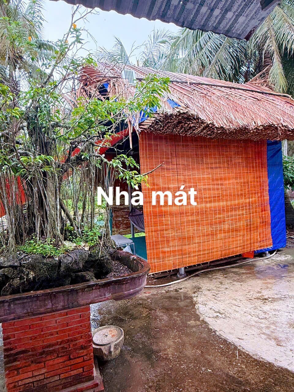 z7058583634097_fb763aa2b812555dd3f61afb147ec9c0