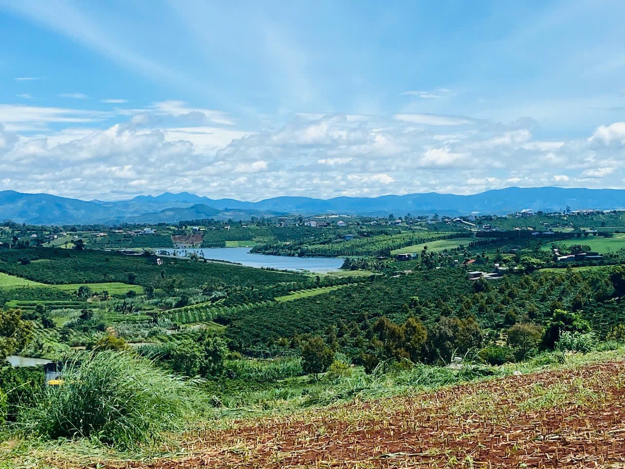 z7061038574049_b88b8028ecf36f42af2822f4d704b89b