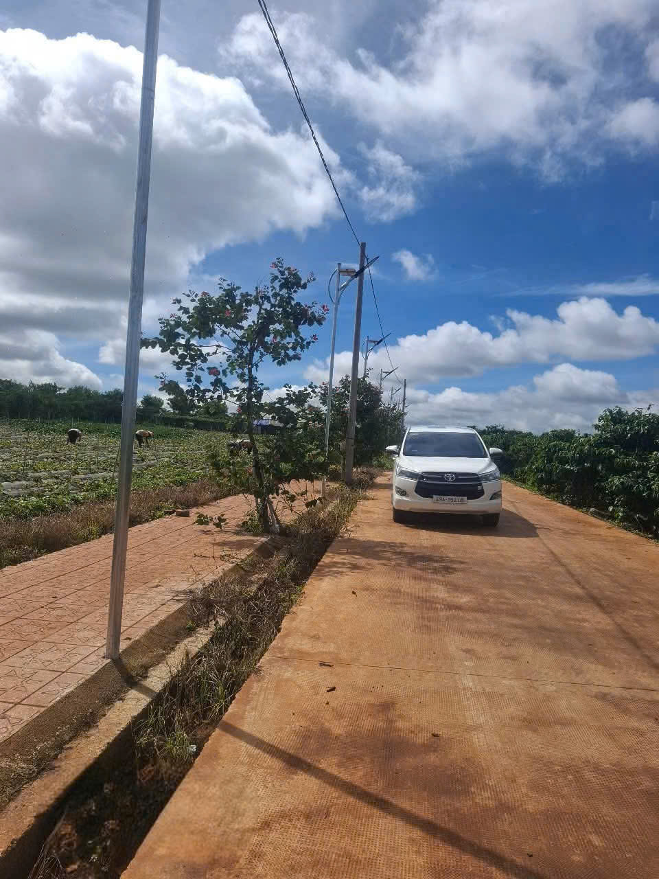 z7062048032511_3e2079f2bfa05fec90ce83f84b6abfe4