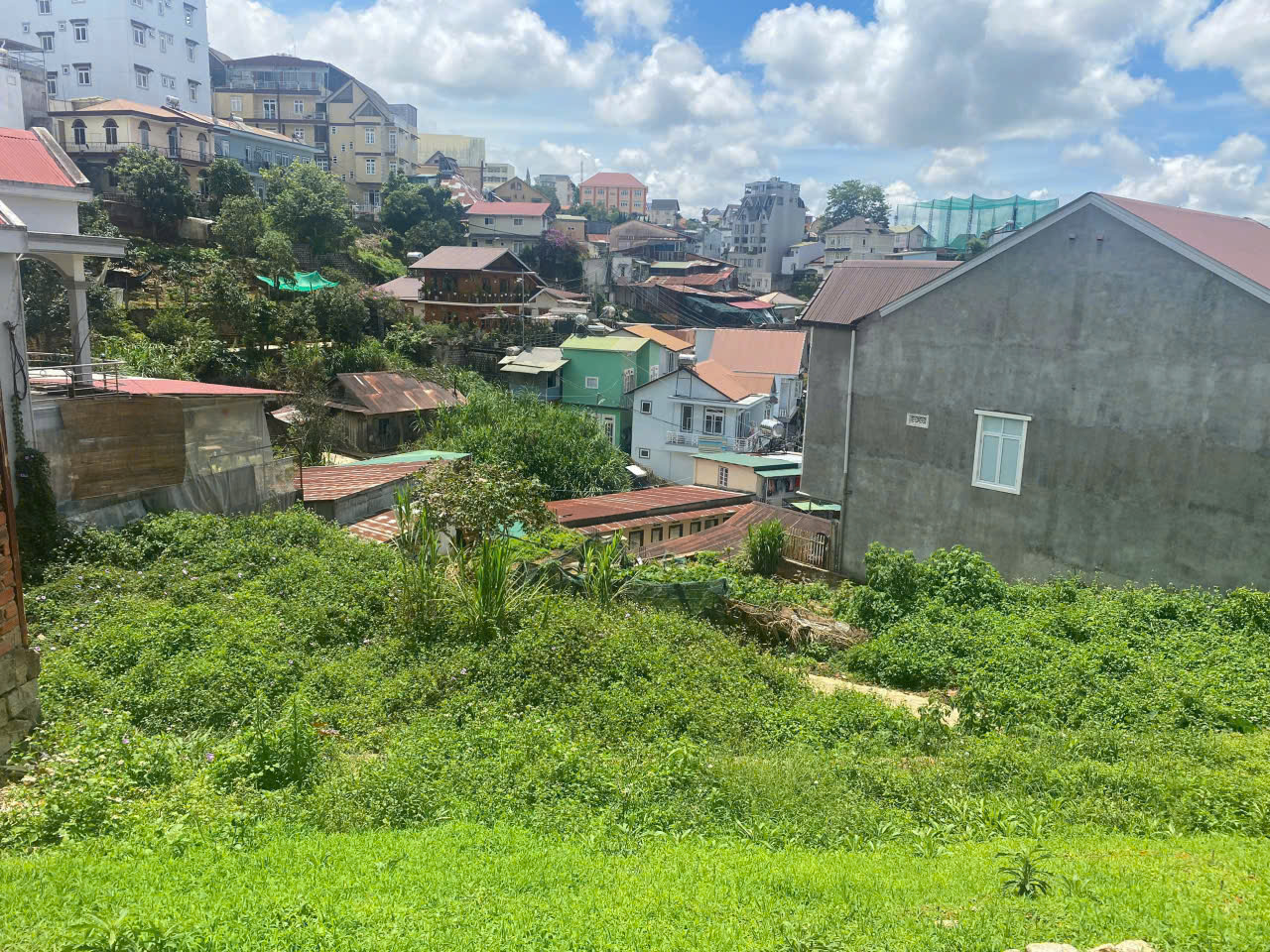 z7062703185379_0e050bc9f9f81f0a7a19431f1aa5fce9