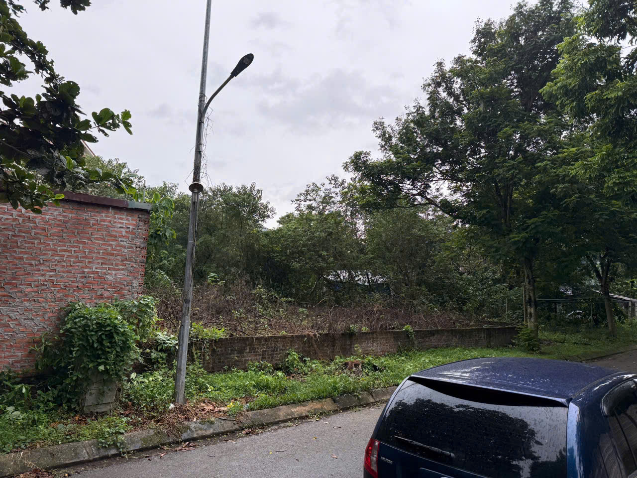 z7063680938321_f5e983e7cfb987df26eb44553e030b62