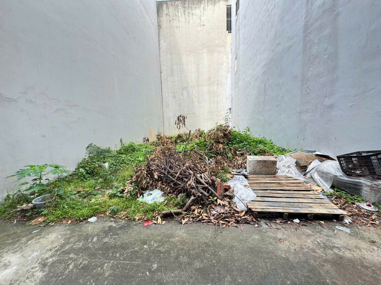 z7063757358064_f70b5ec0f0bf41bb8a9e3ef075feb4de