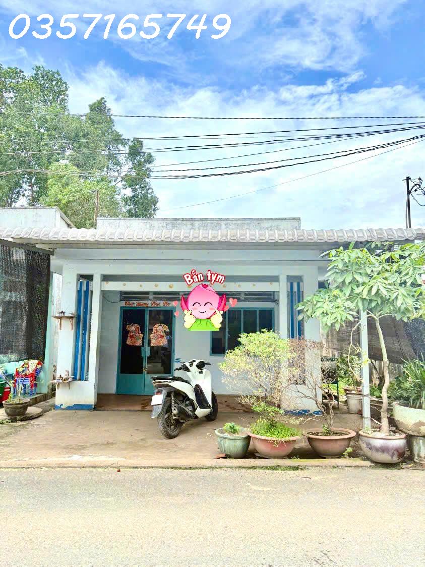 z7065026013216_a98761af99fe0cd458146f775a378a54