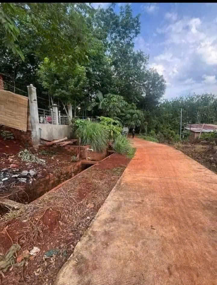 z7065610945859_dbbc6d35cbbed48a99d94edd96076766