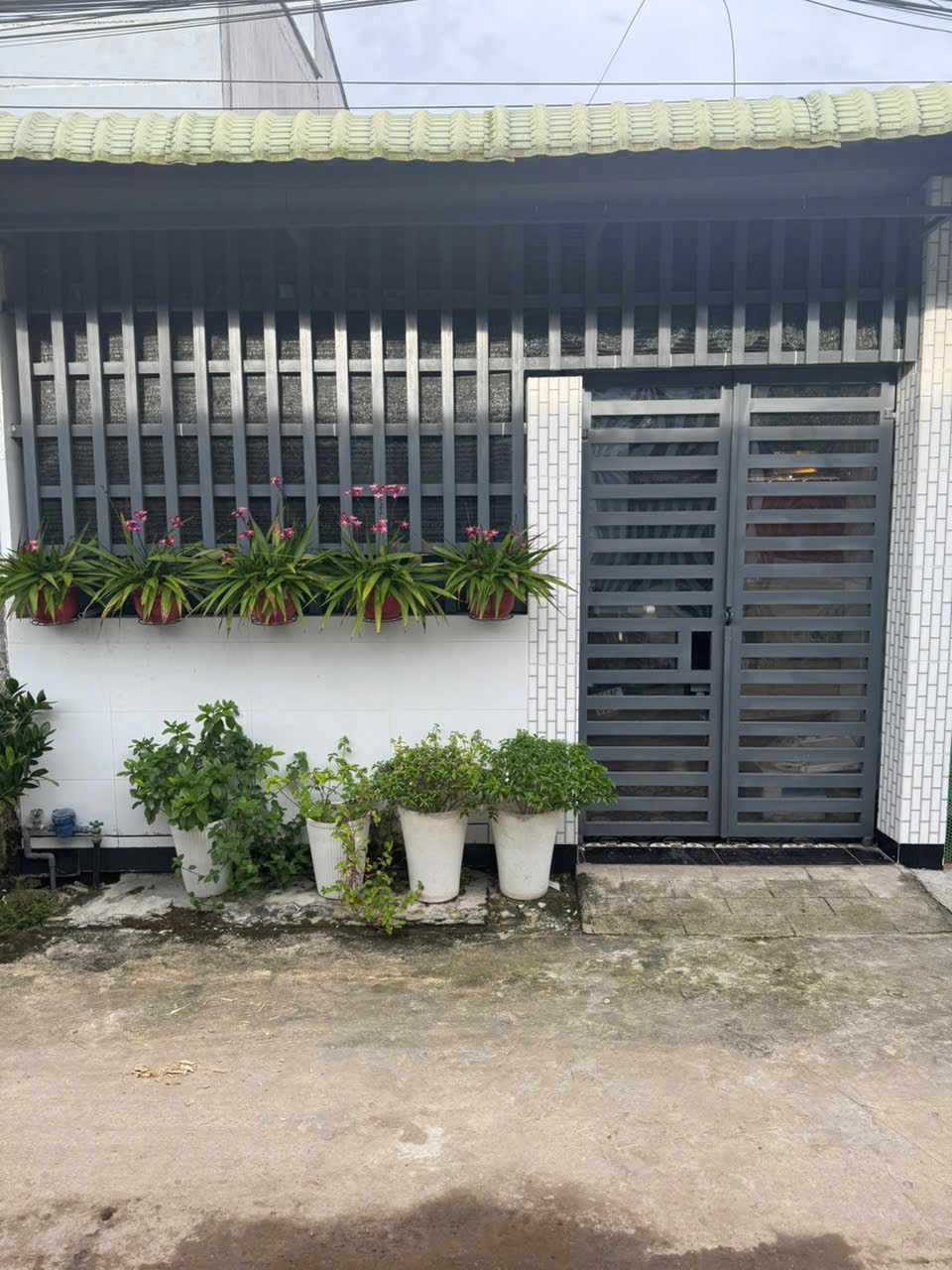 z7066916340584_715ade18e04115d24154b4b6503b8bb8