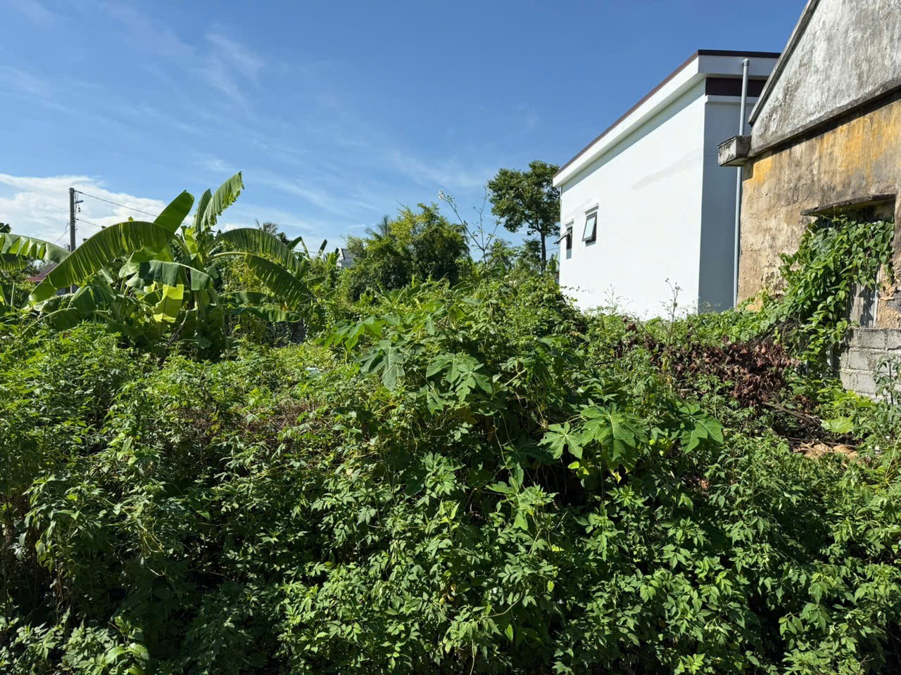 0002adc447cdca9393dc40