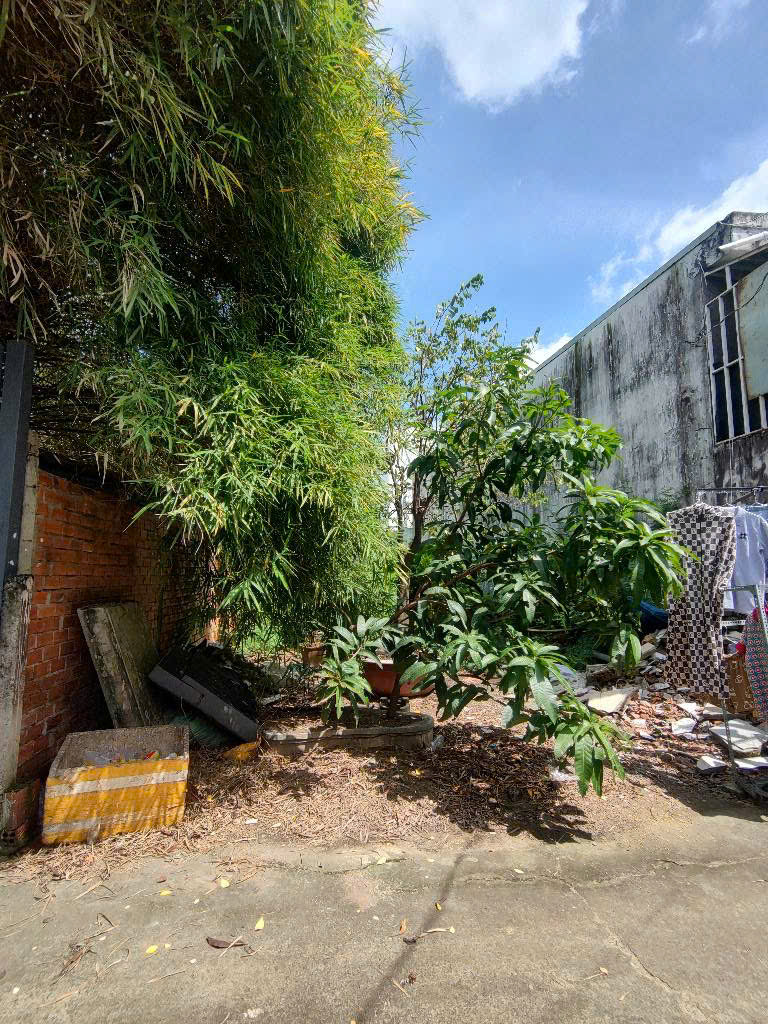 0e65d9239afb17a54eea20