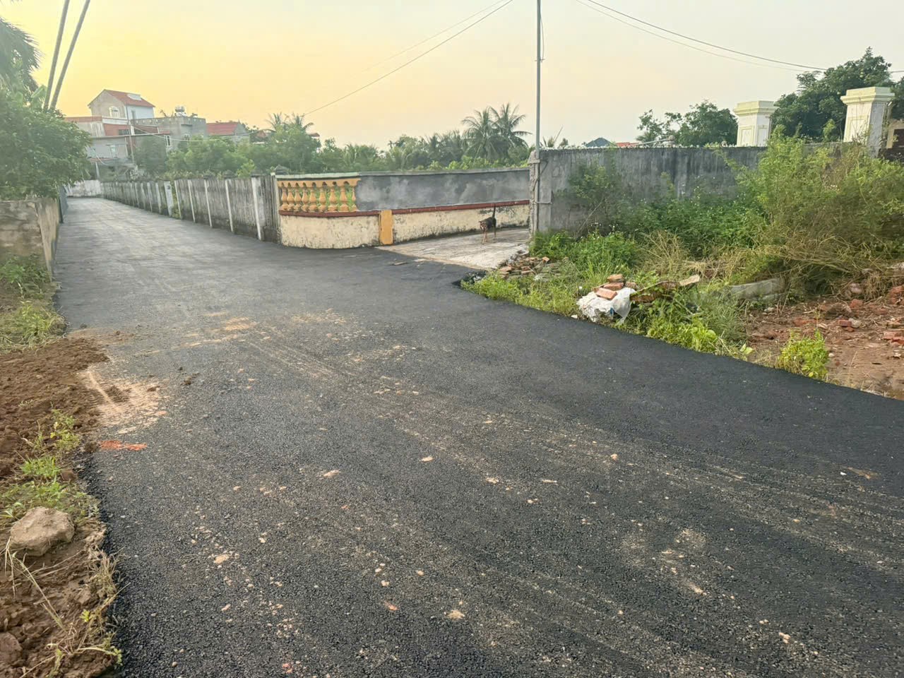 0f2393fbbf2d32736b3c13