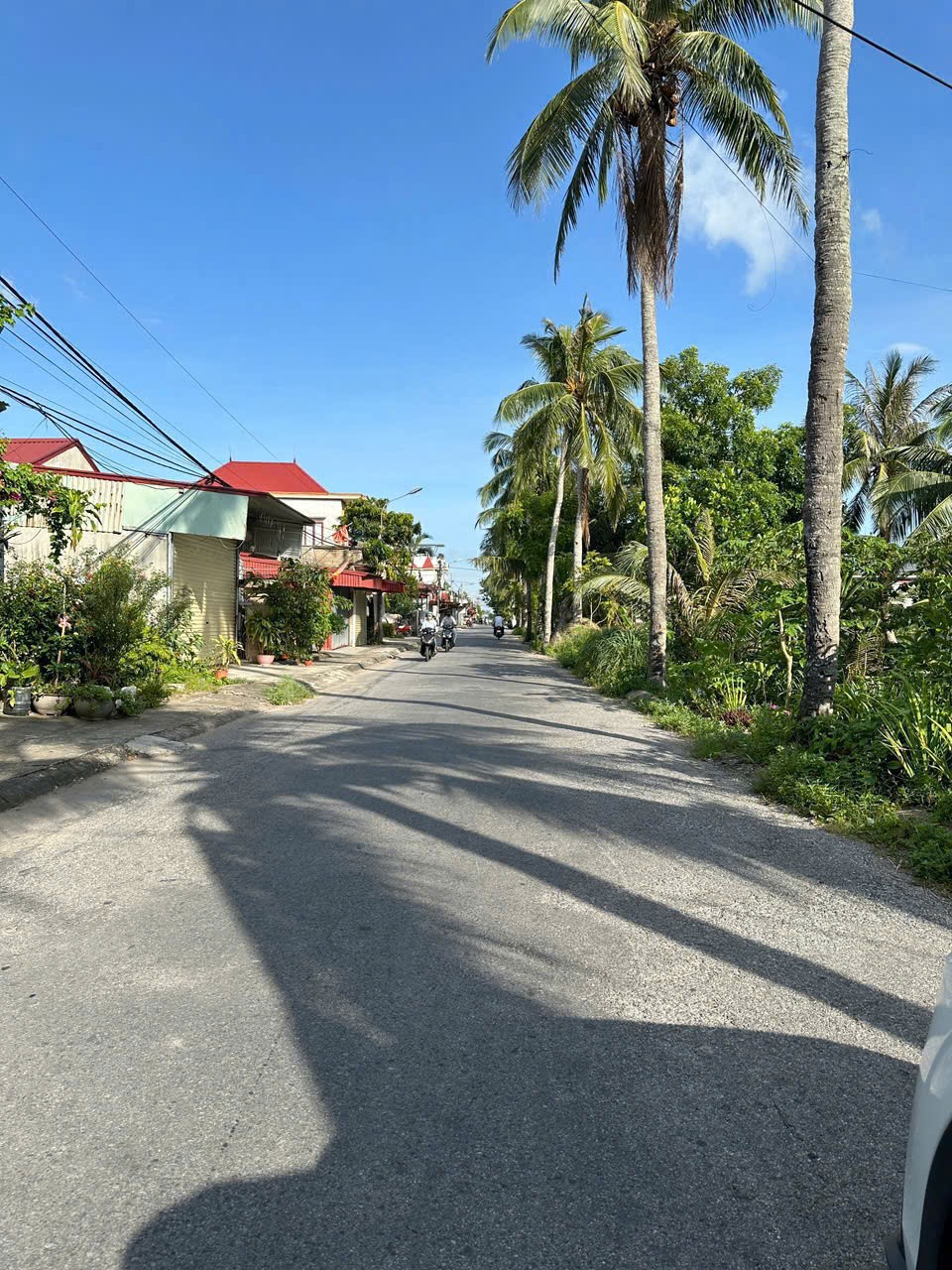 0fd355ffaeb823e67aa911