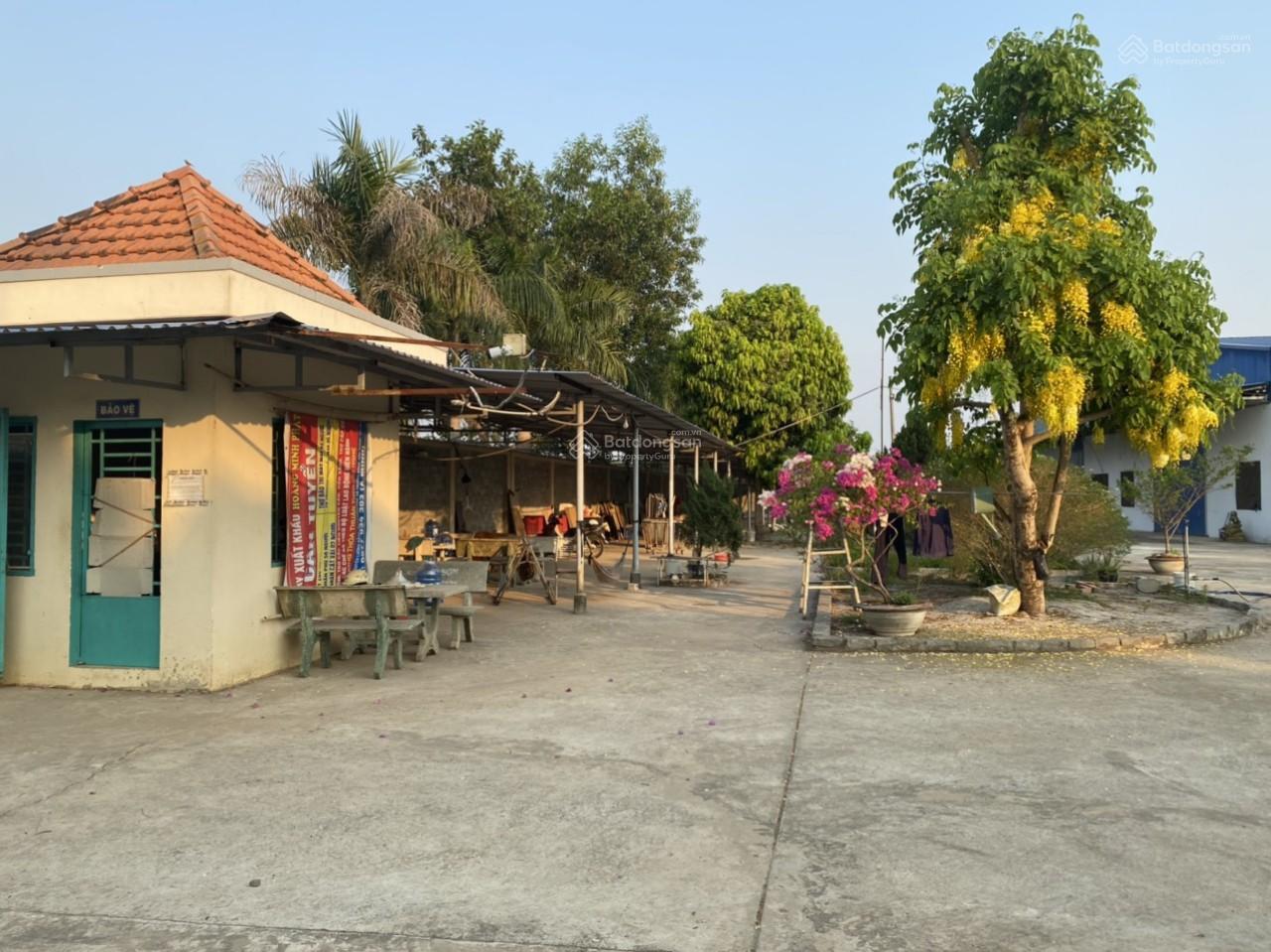 110251019143047-efbe_wm