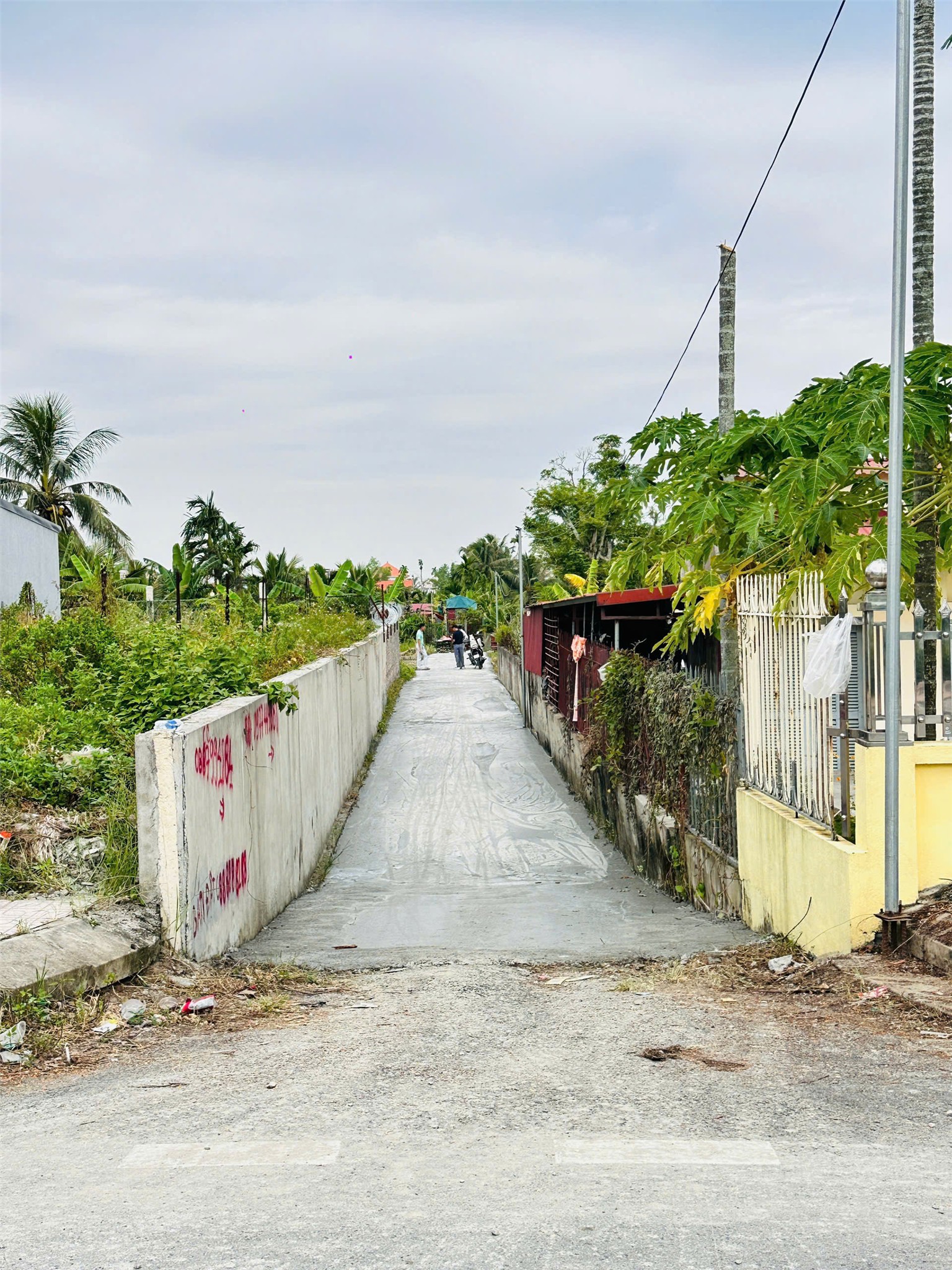 196323118021770618338