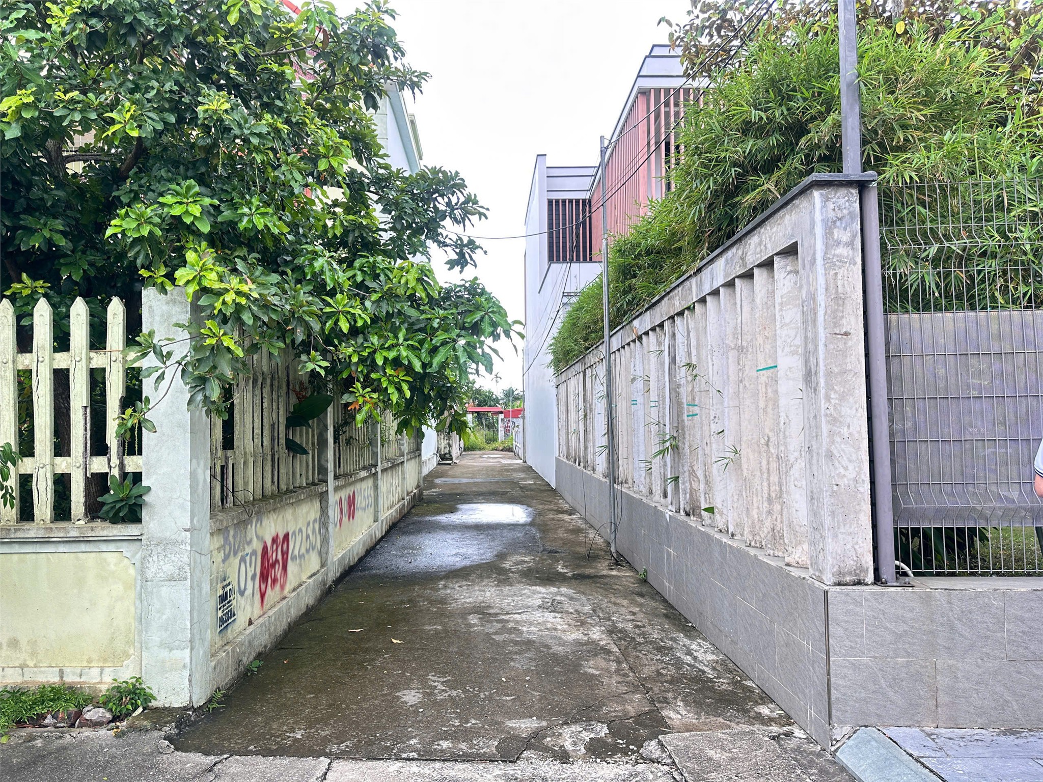 1ef2caeddeed53b30afc16