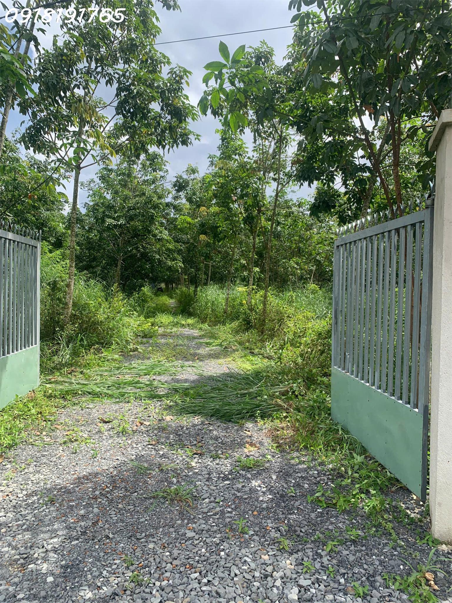 20250910164844-6ad4_wm