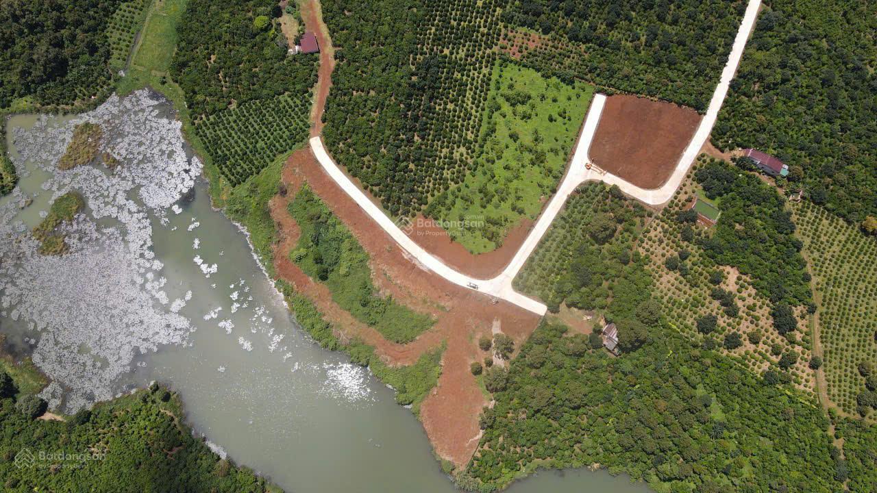 20251030144525-1f7b_wm