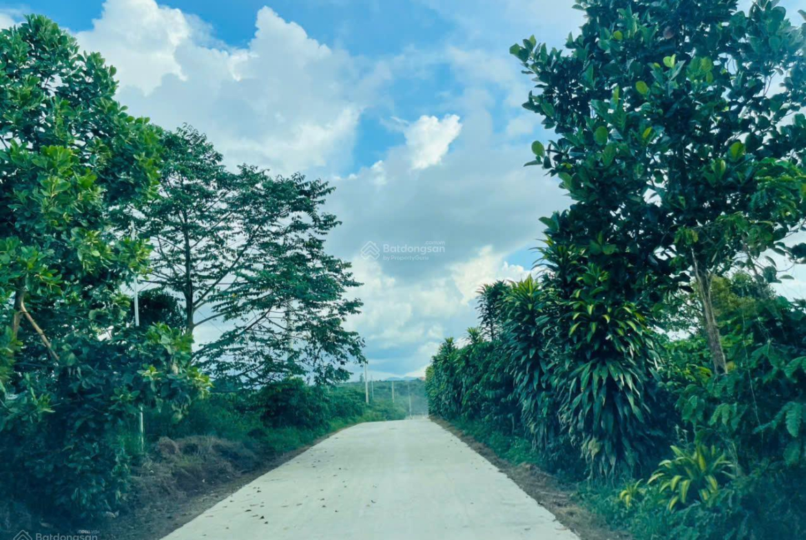 20251030144525-22c9_wm