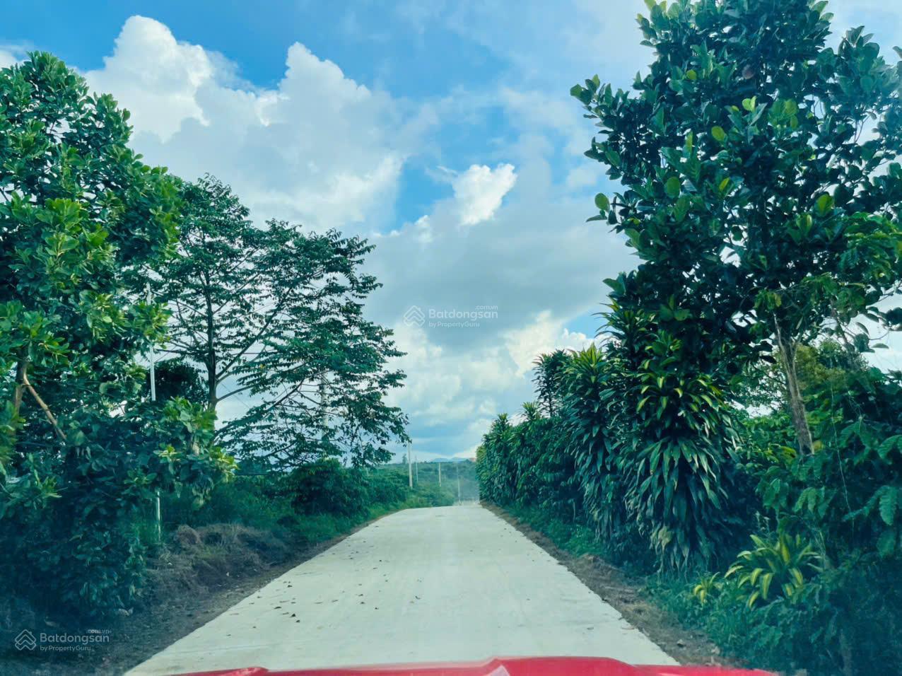 20251030144525-22c9_wm