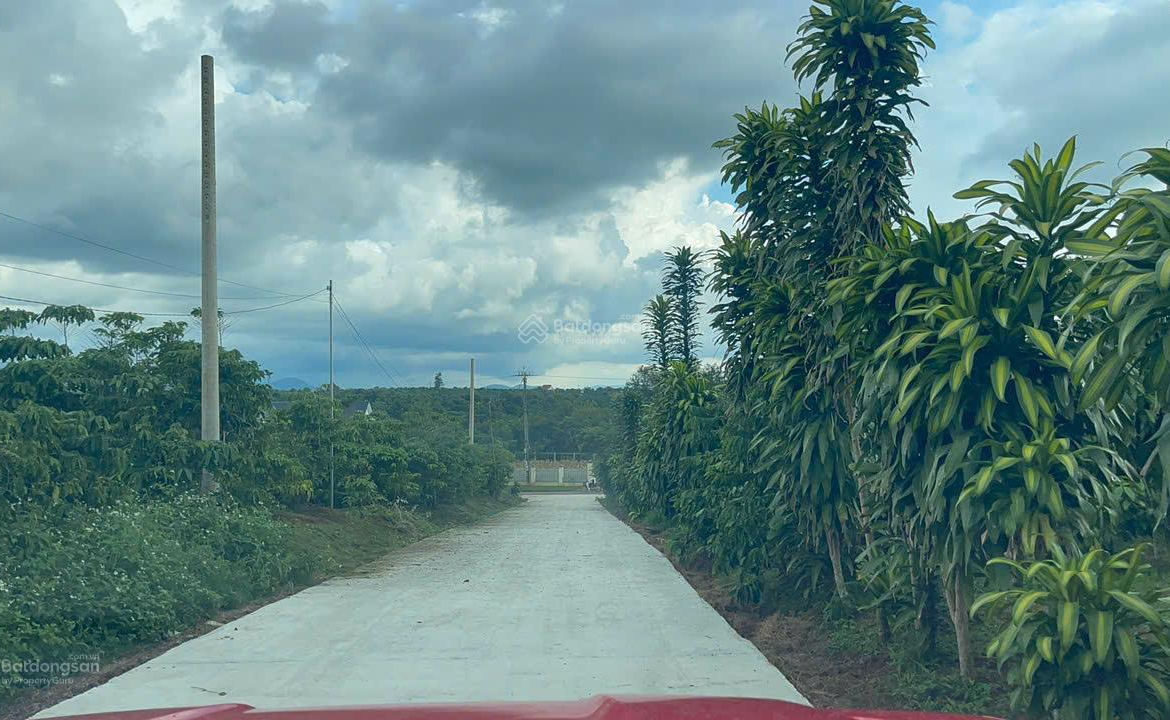 20251030144525-5c02_wm (1)